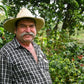 El Faldon - washed Colombia