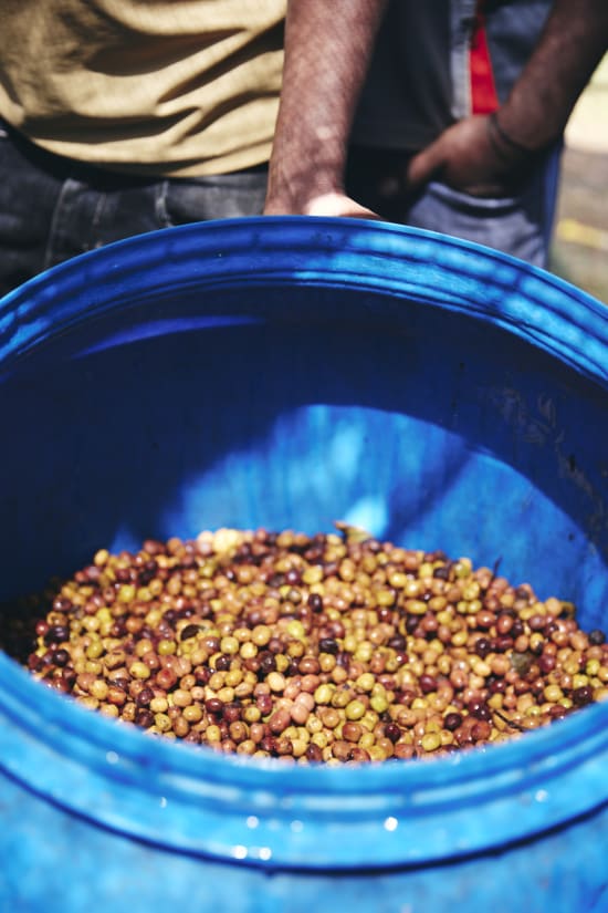 Yaye - special prep natural Ethiopia
