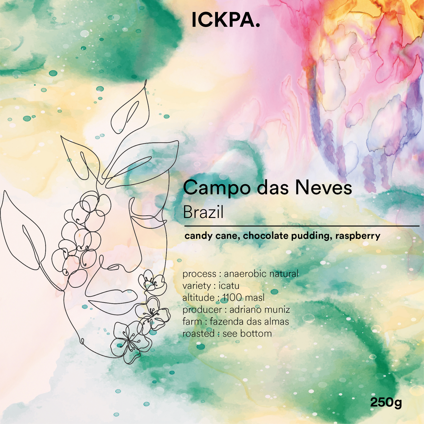 Christmas Coffee / Campo das Neves - anaerobic natural Brazil