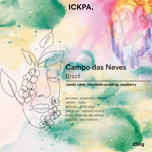 Christmas Coffee / Campo das Neves - anaerobic natural Brazil