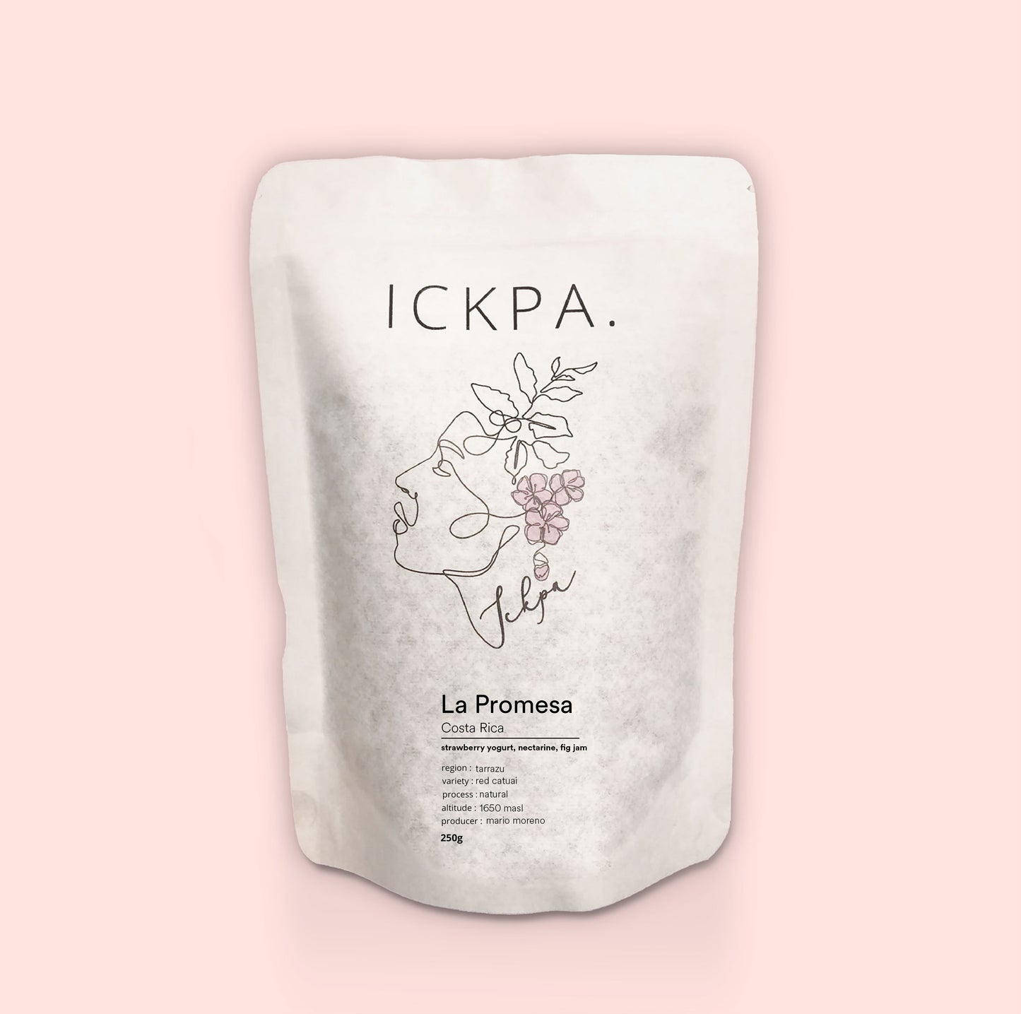 La Promesa - natural Costa Rica